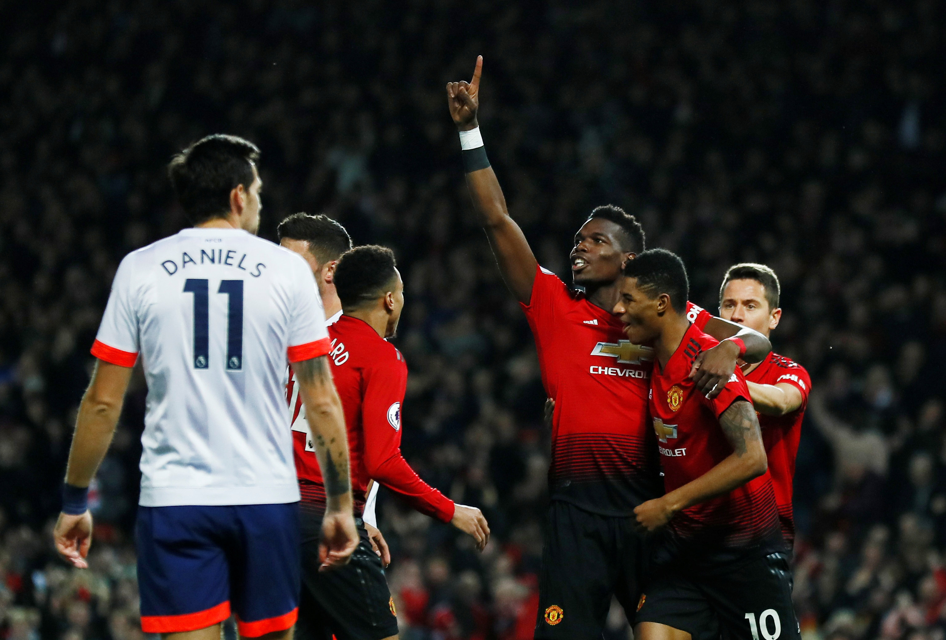 养出极佳的 养出极佳的