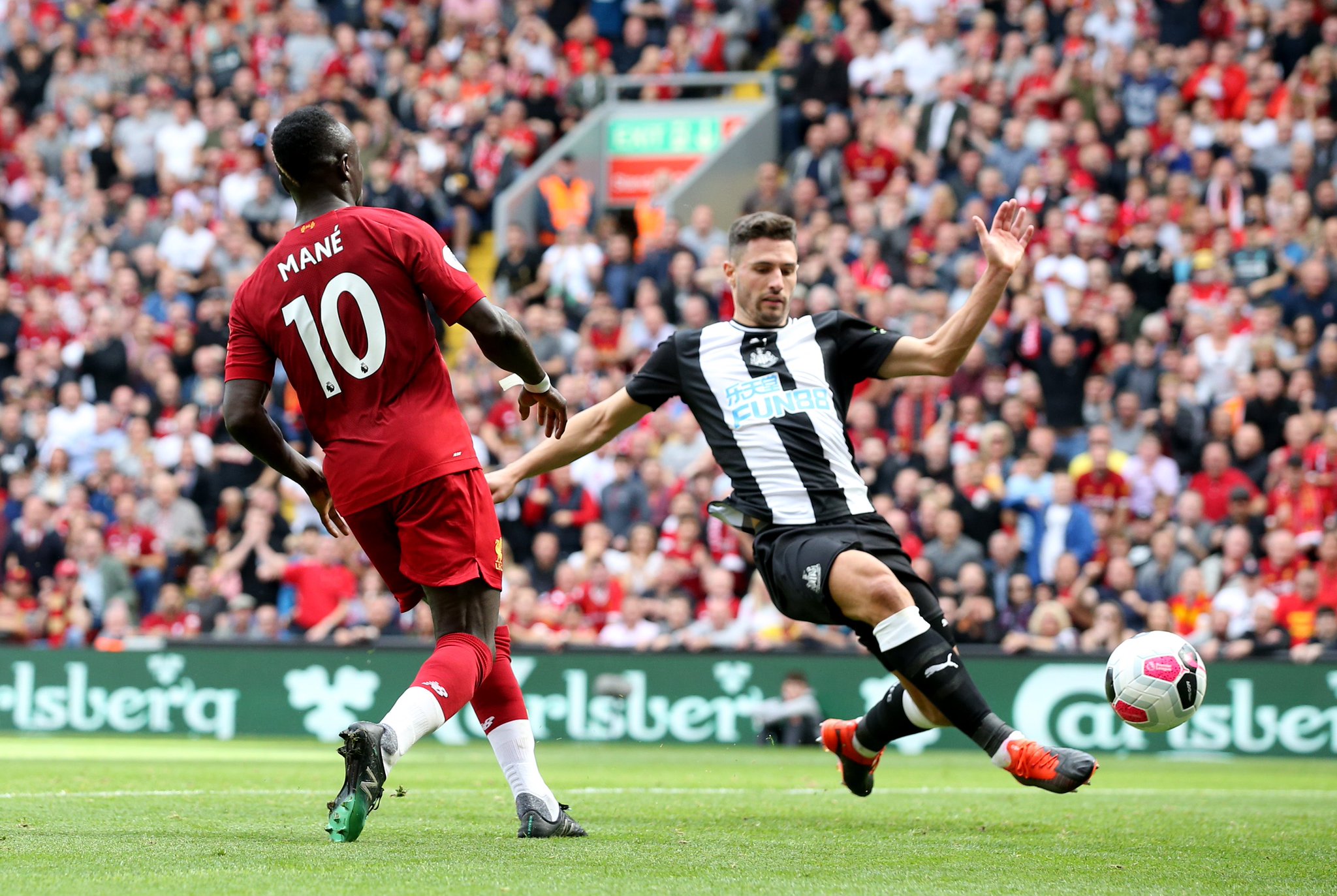 和专家的高 和专家的高